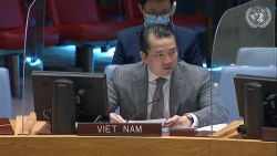 Việt Nam hoan nghênh nỗ lực của các nước trong bảo đảm an ninh, ổn định và thúc đẩy hợp tác khu vực