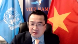 Việt Nam ủng hộ tăng cường hợp tác giữa Hội đồng Bảo an và Hội đồng Hòa bình và an ninh của Liên minh châu Phi