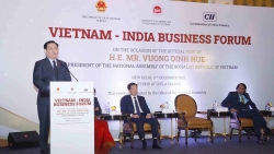 Xung lực mới trong quan hệ đầu tư Việt Nam-Ấn Độ