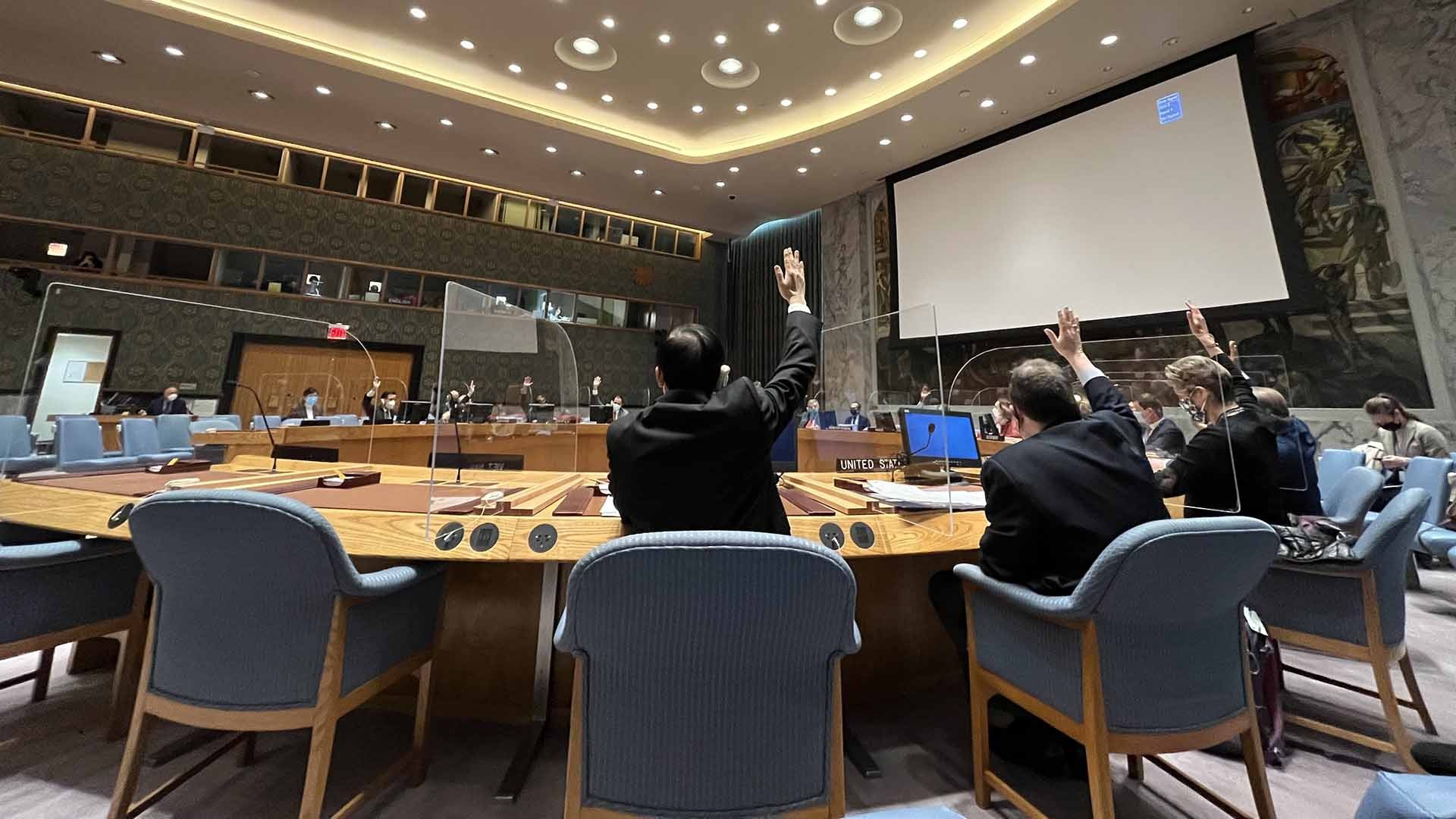 Hội đồng Bảo an thông qua nghị quyết gia hạn nhiệm vụ của MONUSCO, thảo luận về tình hình tại Syria và Ethiopia