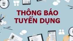 Liên hiệp các tổ chức hữu nghị Việt Nam thông báo tuyển dụng công chức
