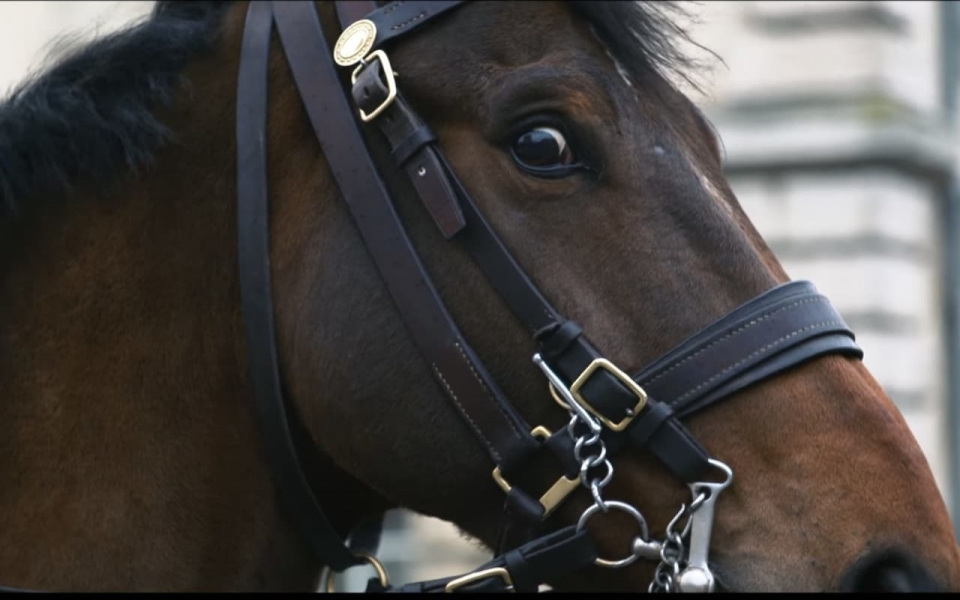 tin nhap 20180109093330