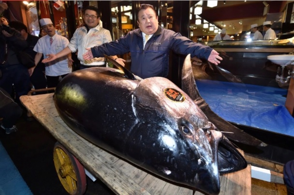 nhat ban 31 trieu usdcon ca ngu khong lo