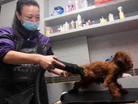 Trung Quốc: Chăm sóc thú cưng kiếm tỷ USD