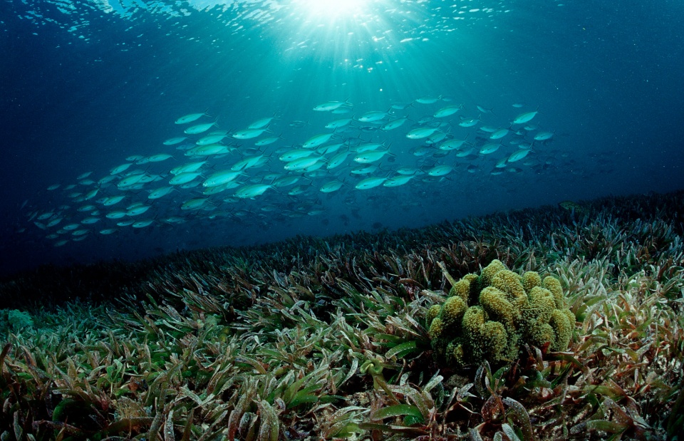 tin nhap 20170217233436