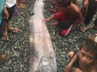 nu ngu phu my soc khi bat duoc ca hai mieng ky di