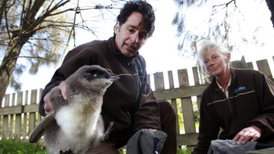 nong len toan cau de doa da dang sinh hoc bien