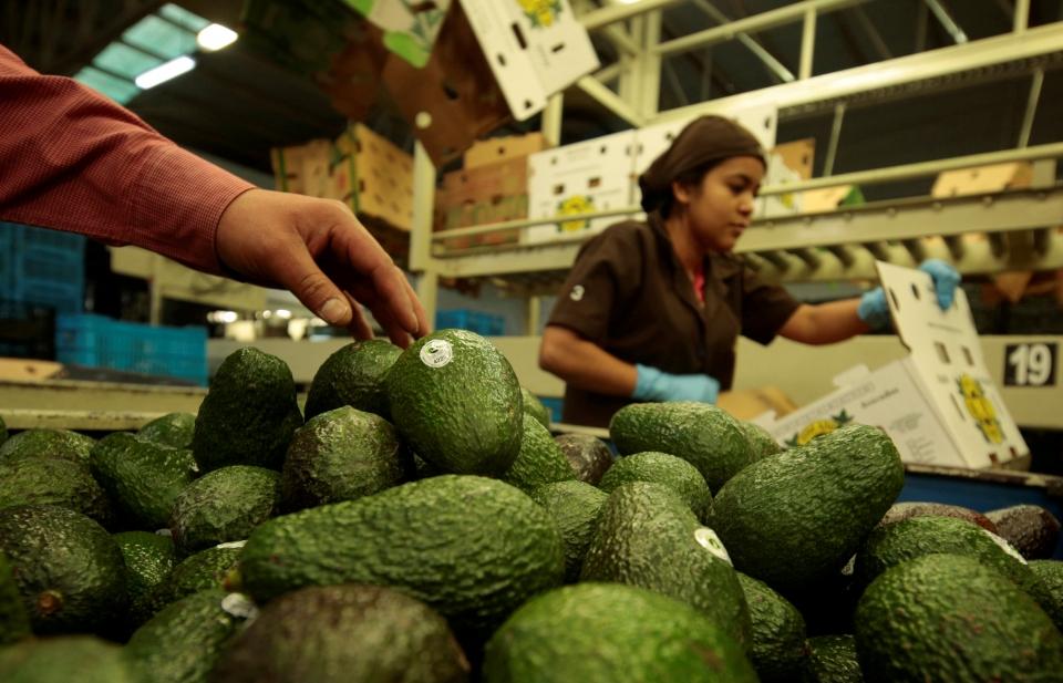 vong 7 tai dam phan nafta dat muc tieu hoan tat them 7 chuong moi