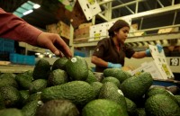 ty le that nghiep cua mexico thap ky luc trong 13 nam qua