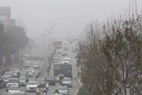 du bao thoi tiet ngay 188 bac bo de phong dong loc