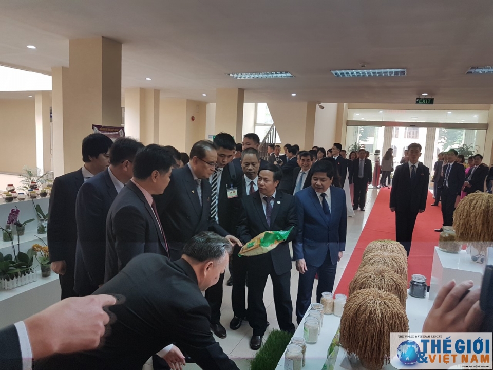 doan trieu tien tham vien khoa hoc nong nghiep tim hieu kinh nghiem san xuat lua cua viet nam