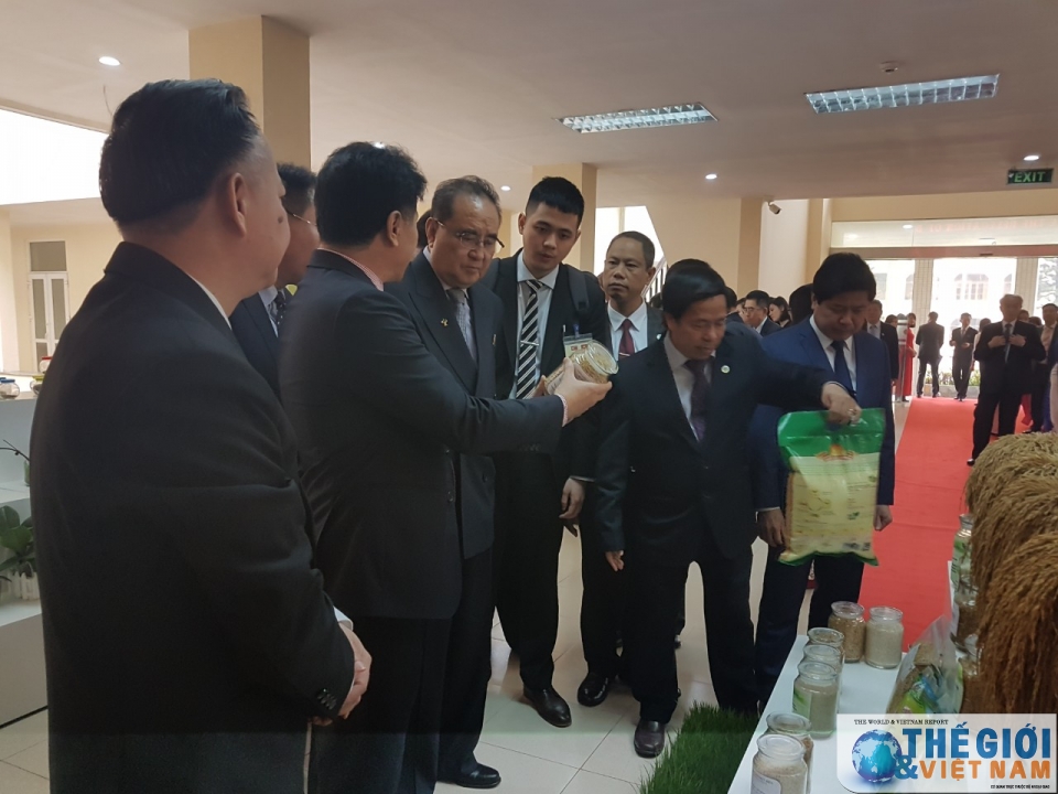 doan trieu tien tham vien khoa hoc nong nghiep tim hieu kinh nghiem san xuat lua cua viet nam