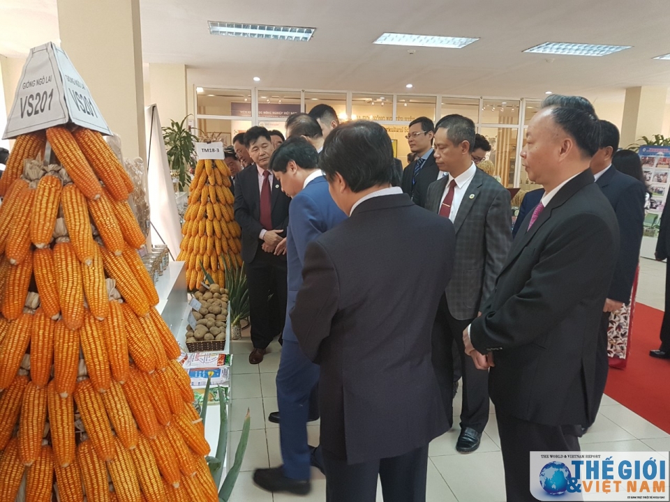 doan trieu tien tham vien khoa hoc nong nghiep tim hieu kinh nghiem san xuat lua cua viet nam