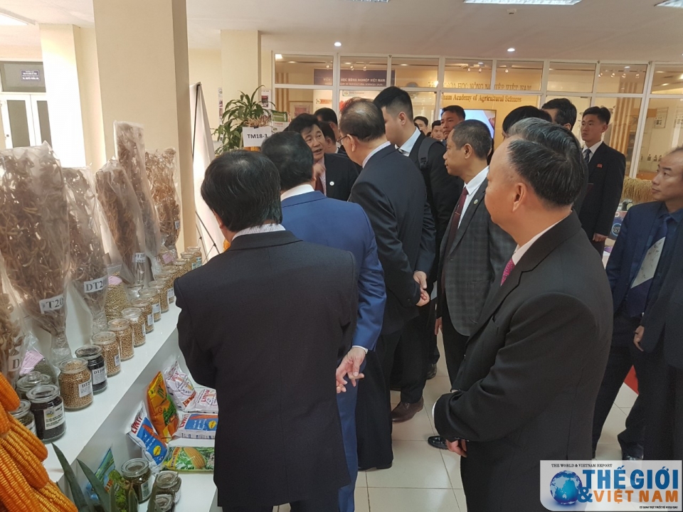 doan trieu tien tham vien khoa hoc nong nghiep tim hieu kinh nghiem san xuat lua cua viet nam