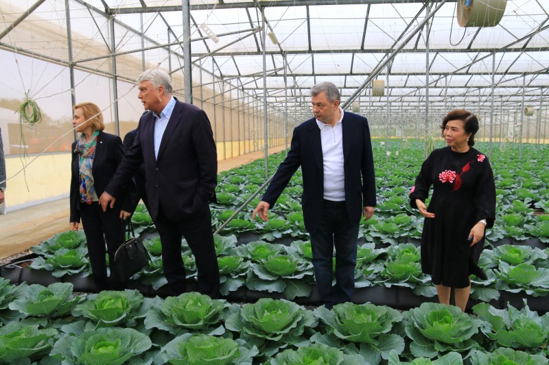 tap doan th dua mo hinh san xuat sua tuoi sach sang lien bang nga