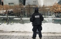 is da xam nhap anh quoc den muc do nao