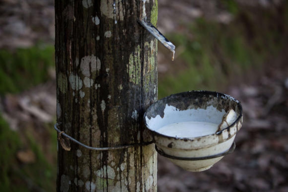 tin nhap 20180320101515