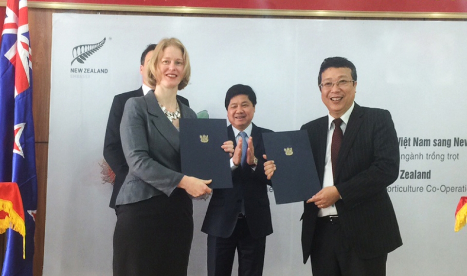 chom chom viet vua duoc cap thi thuc vao new zealand