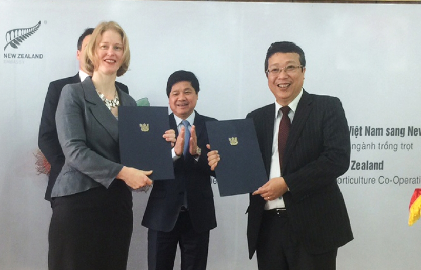 chom chom viet vua duoc cap thi thuc vao new zealand