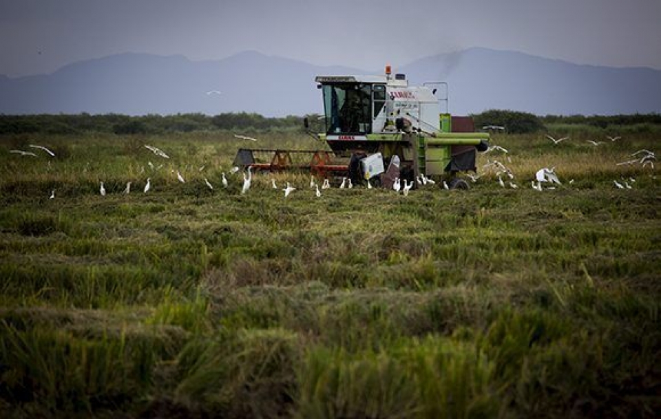 cuba va my doi thoai ve hop tac nong nghiep