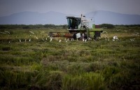 tan chu tich cuba se tiep tuc con duong cua nguoi tien nhiem