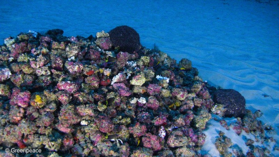 tin nhap 20180425141423