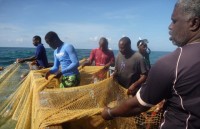 my cuba va mexico tien hanh nghien cuu chung ve hai duong hoc