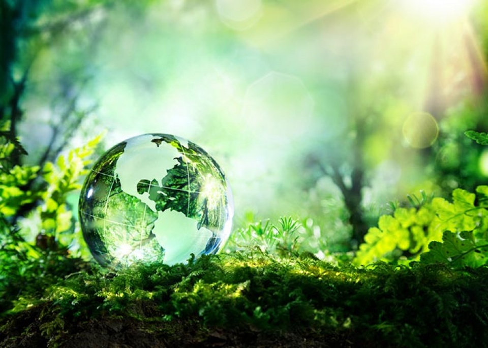 LHQ nhấn mạnh lợi ích của việc sống hài hòa với thiên nhiên tin nhap 20170606074334