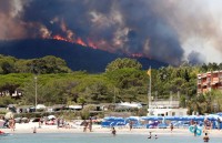 bo dao nha hon 400 vu chay rung xay ra trong mot ngay