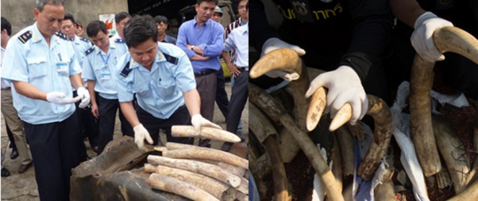 chau phi thu giu hang tan nga voi buon lau den dong nam a