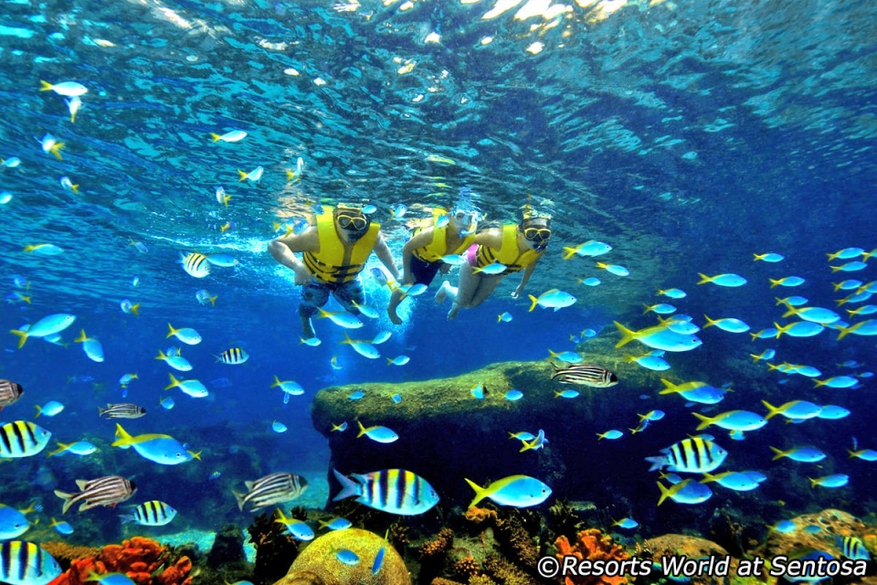 du lich singapore muon bien dam me thanh hien thuc