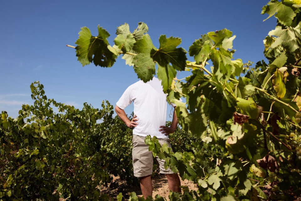 tin nhap 20170827155341