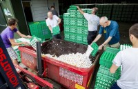 eu tam ngung nhap khau nhieu san pham gia cam che bien cua brazil do an toan thuc pham