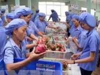 viet nam diem den ly tuong cho nguoi ngoai quoc