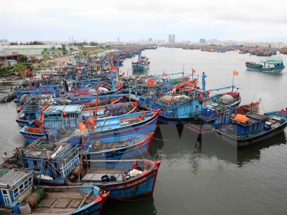 tin nhap 20161011120334