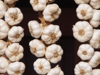 viet nam chi 1600 ty dong nhap rau cu qua moi thang