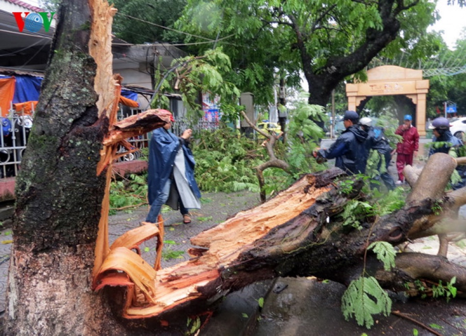 mien trung tan hoang thiet hai nang ne do mua lu