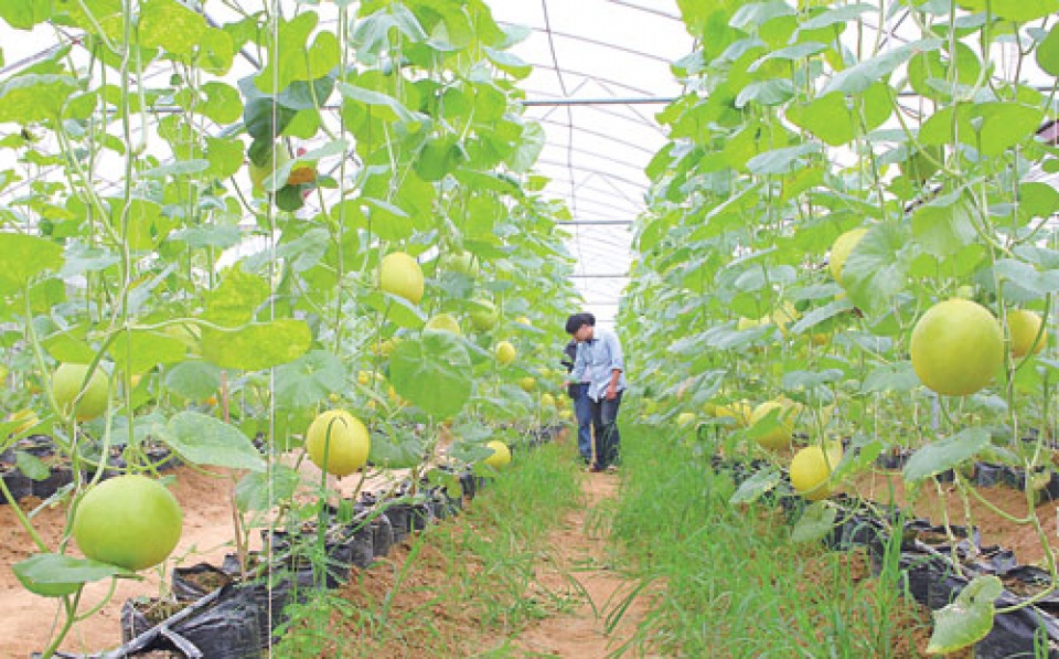 chu dong loi ra cho nong nghiep viet