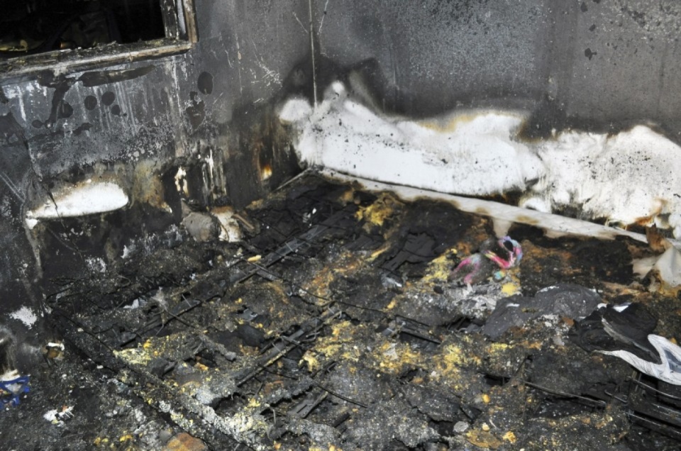 chu cho hy sinh de bao ve be 3 tuoi