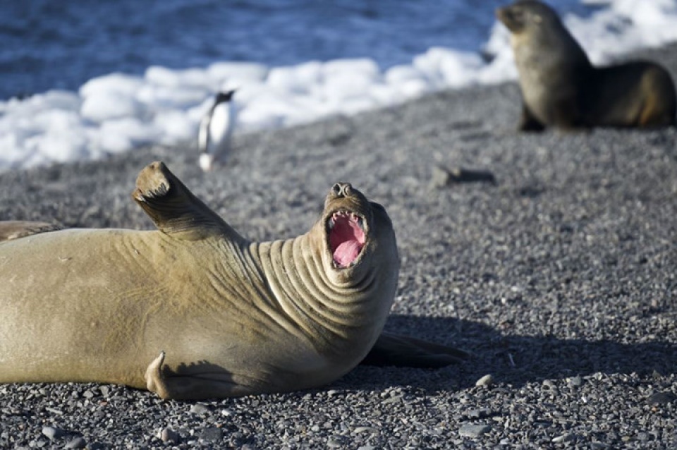 ve dep ky vi nhu mot ky quan the gioi o nam cuc