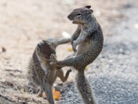 nhat ban cu ong gay sung sot khi lam ban voi ca sau suot 34 nam