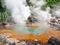 co tran chu gia giac venice tho mong ngoai o thuong hai