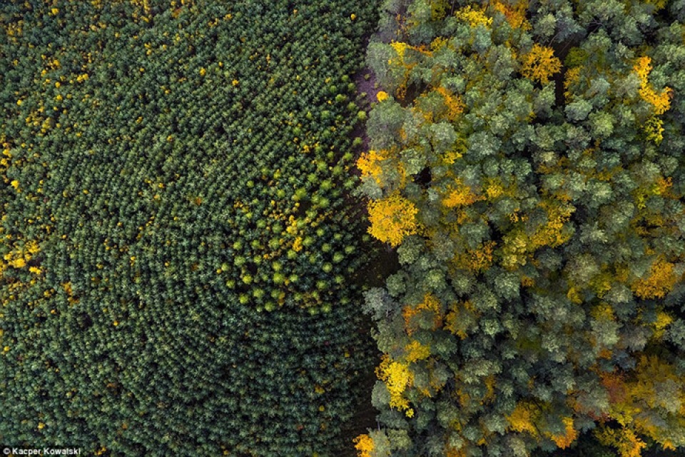 long lay nhung buc anh trai dat nhin tu tren cao