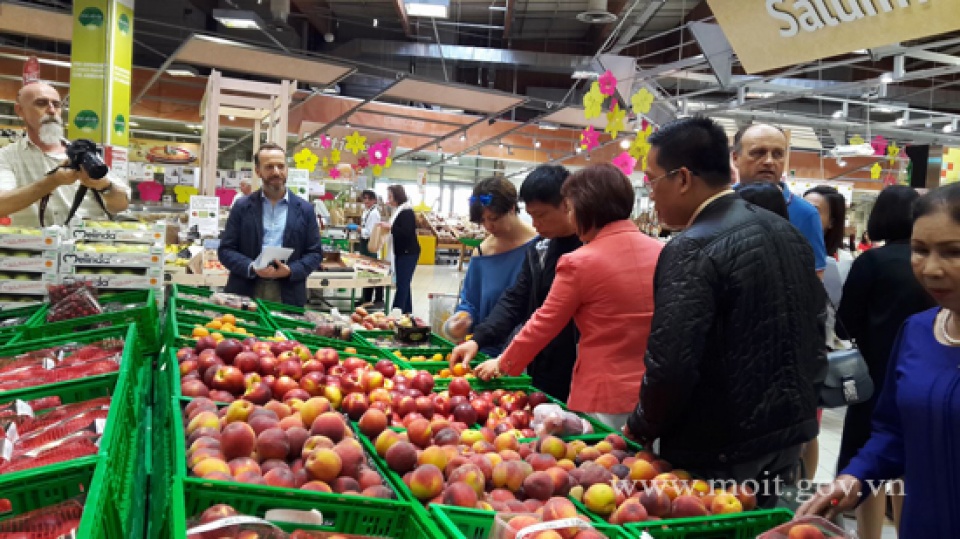 Italy mong muốn xây dựng quan hệ đối tác chiến lược đích thực với Việt Nam italy mong muon xay dung quan he doi tac chien luoc dich thuc voi viet nam