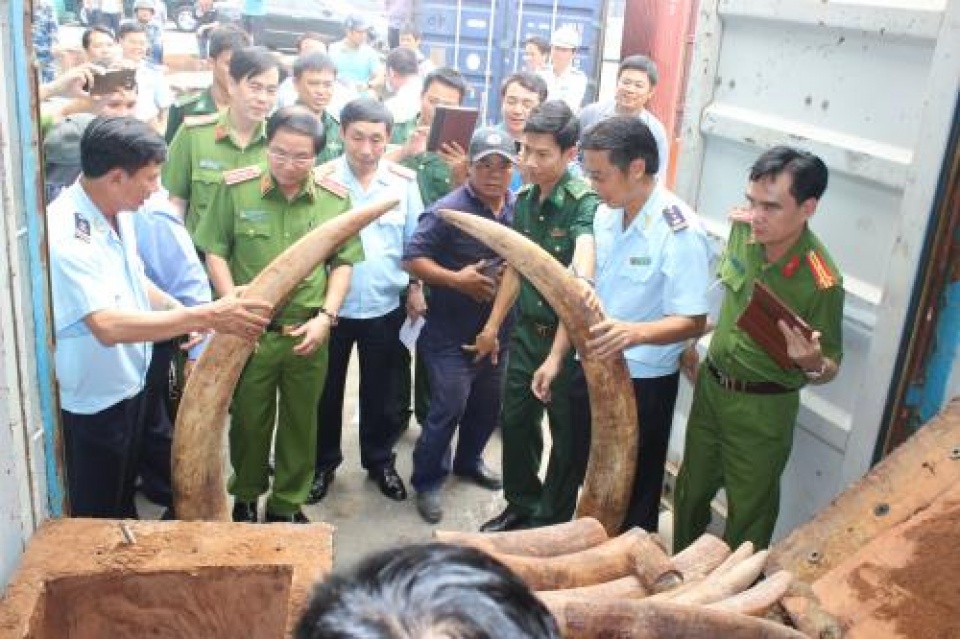 lap chuyen an triet pha cac duong day mua ban dong vat hoang da