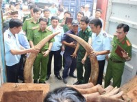 tin nhap 20161201212145