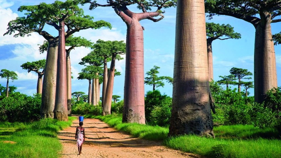 co hoi lon cho du lich madagascar