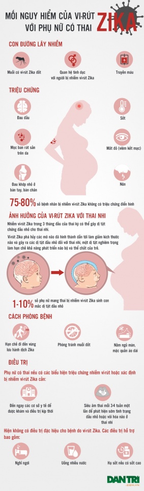 Infographics: Toàn cảnh về khả năng virus Zika "tấn công" thai phụ infographics toan canh ve kha nang vivus zika tan cong thai phu