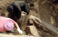 canh sat ai cap bat giu 6 thanh vien hang dau cua mb