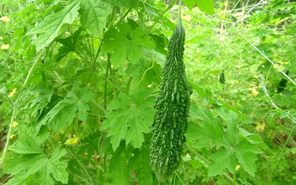 nhung thuc pham cam ky doi voi nguoi huyet ap thap